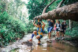 BIB: 
                            <button type="button" onclick="openModal(25374512)" class="btn btn-primary btn-sm float-right btn-popup" data-toggle="modal" data-target=".modal-high-quality">
                        <i class="fas fa-shopping-cart"></i> Add to Cart
                    </button>
                                            <button type="button" onclick="isThisMe(25374512, true)" class="btn btn-success btn-sm float-right btn-popup btn-isme hidden" data-toggle="tooltip" data-placement="bottom" title="นี่คือรูปของคุณใช่ไหม คลิกที่นี่เพื่อเอาเข้าอัลบั้ม">
                        <i class="fas fa-plus"></i> Add to album
                    </button>
                    <button type="button" onclick="isThisMe(25374512, false)" class="btn btn-warning btn-sm float-right btn-popup btn-isnotme hidden">
                        <i class="fas fa-ban"></i> Remove from album
                    </button>